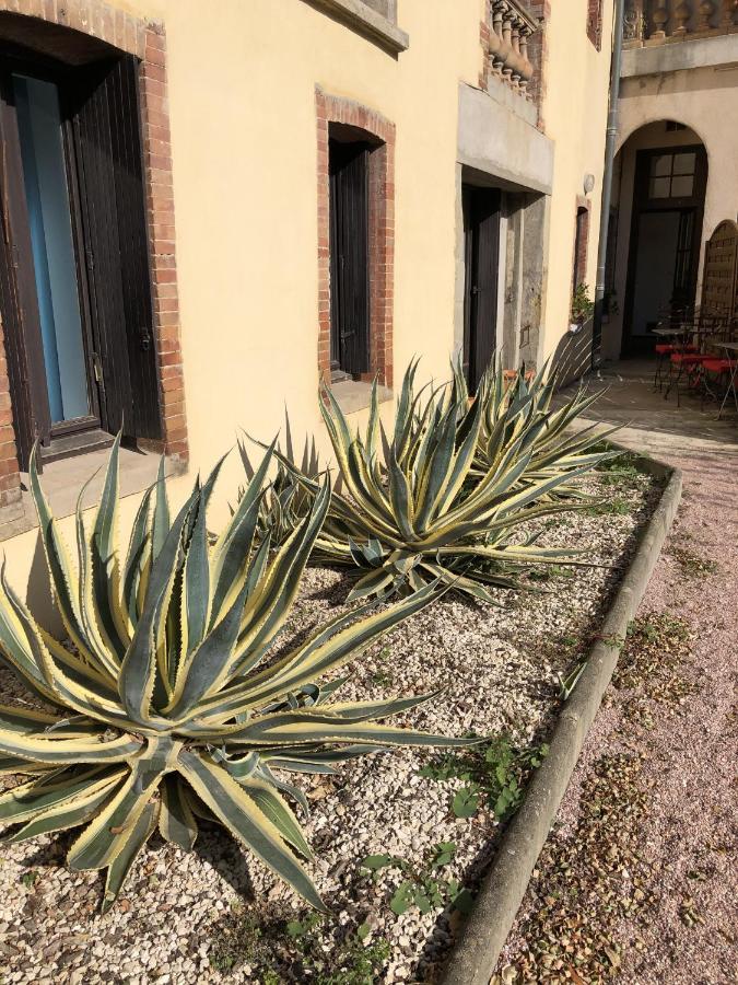 Ferienwohnung Chez Carca, Au Pied De La Cite Carcassonne Exterior foto